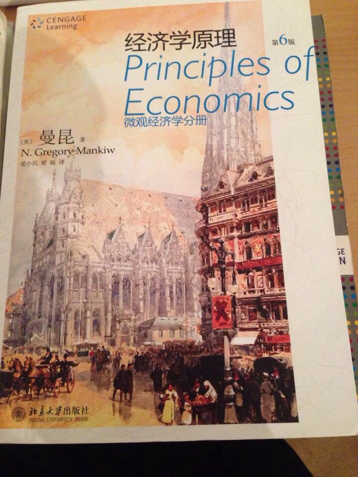 Econ book Chinese vision