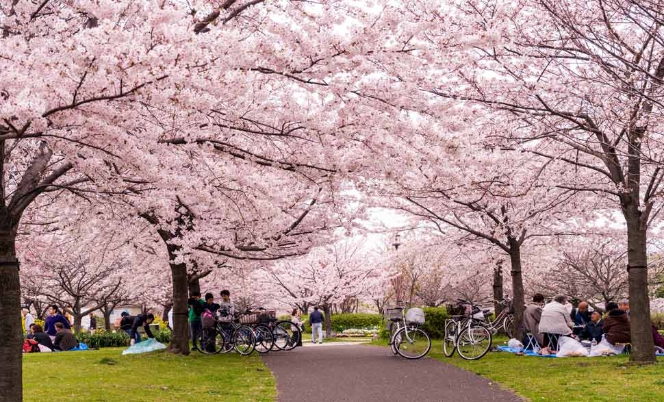 ueno-park.jpg