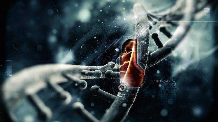 18319-genetics-anime-simple_background-simple-DNA-digital_art-video_games-748x421.jpg