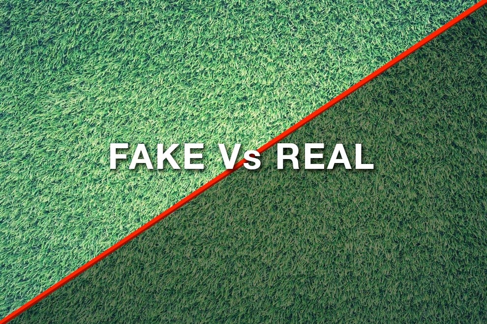 fake-grass-real.jpg