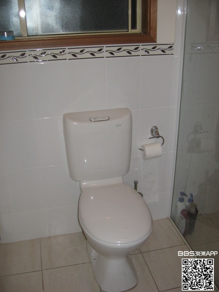 toilet.jpg