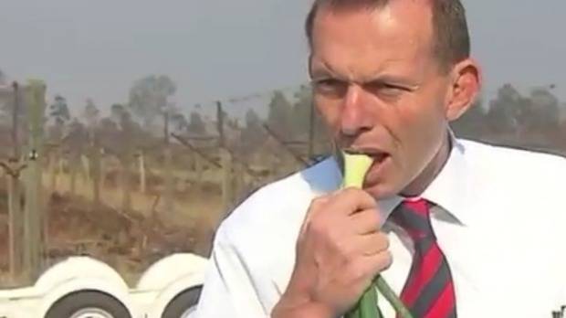 xTony-Abbott-onion-1.jpg.pagespeed.ic.900zLLDA7Z.jpg