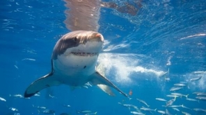 �Ĺ����յ��� ���������߾�����ھ���ʱ�� 