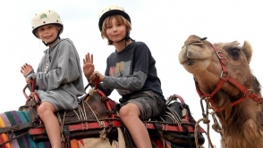 �����ȡ����ճ����𣡳������˹����ջ���³衱
