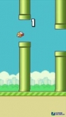 ̫���! Ϥ���Ѱ�װFlappy Birdƻ��5S������5��