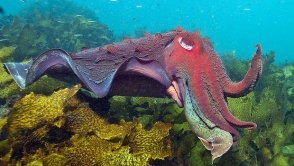 תϤۡˮ·羰ȸ־ºı