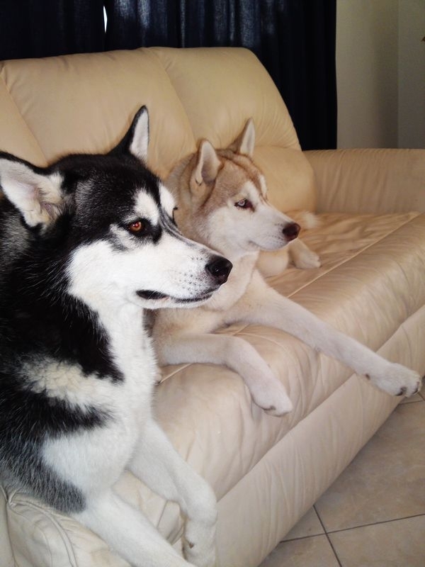 ���ܼ�����