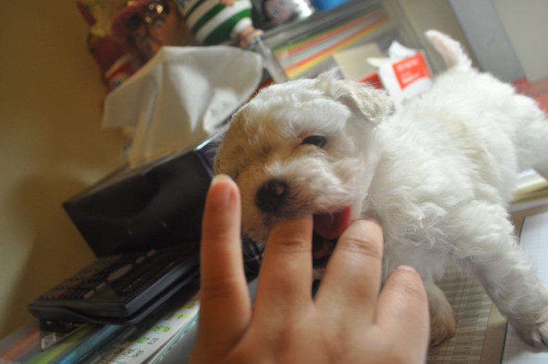 DSC_2812.JPG
