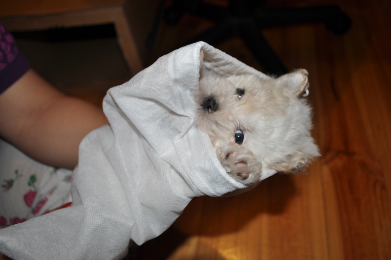 DSC_3104.JPG