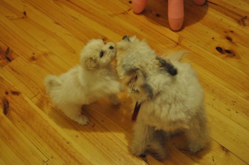 DSC_3269.JPG
