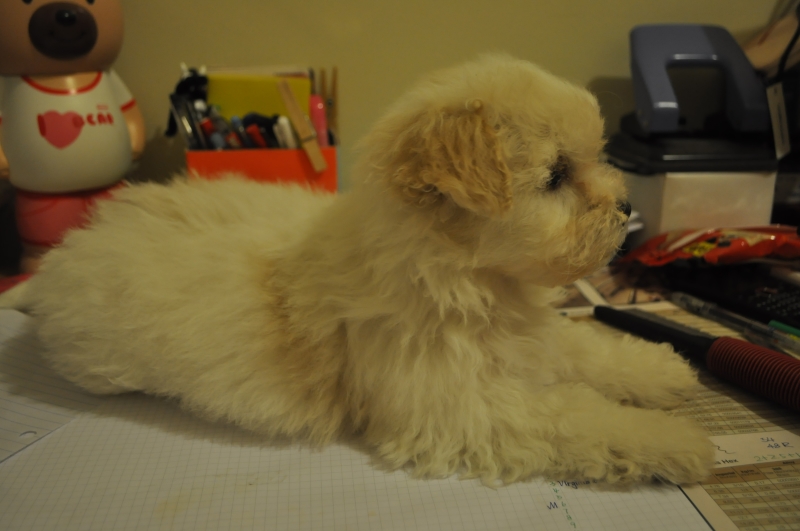 DSC_3523.JPG