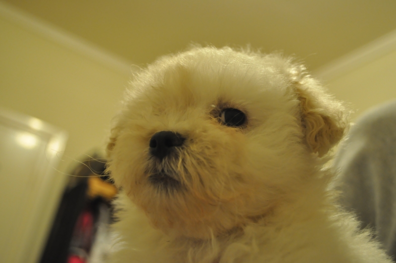 DSC_3527.JPG