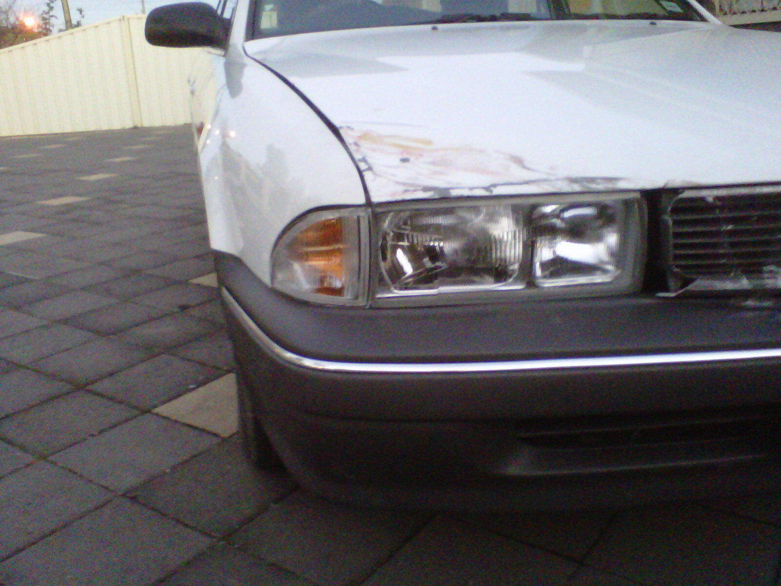 IMG00186-20110625-1731.jpg