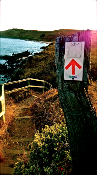 ʷhiking trial