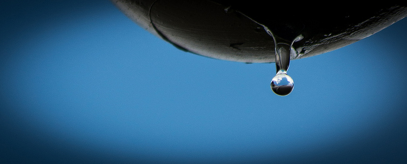 7815384458_bf348c3a81_c.jpg