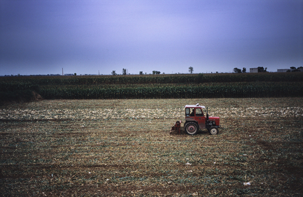 ������ѽ��������