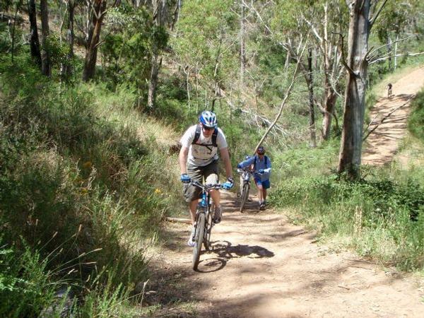 Mount-Lofty-Descent-By-Mountain-Bike-Adelaide-S.A_large3.jpg