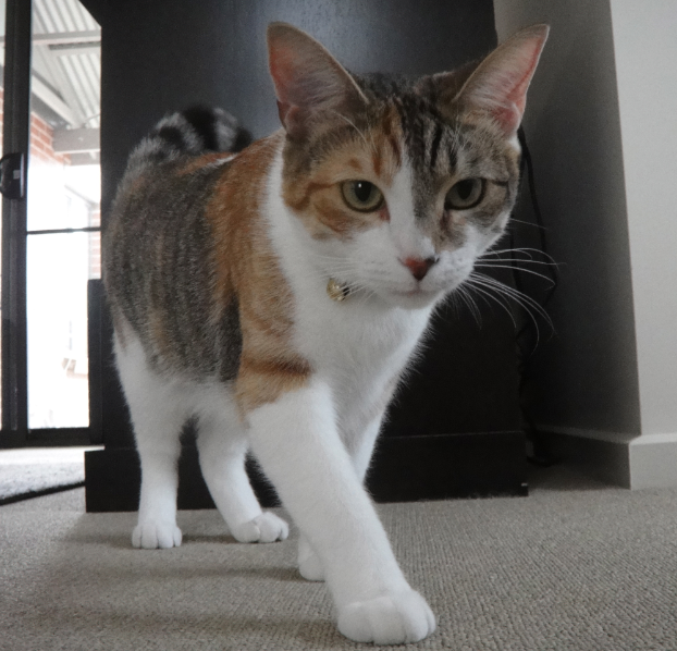 QQ��ͼ20130307132122.png
