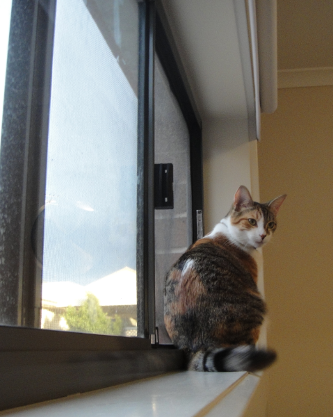 QQ��ͼ20130307132140.png