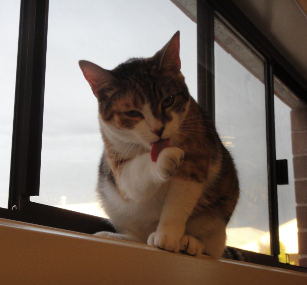 QQ��ͼ20130307132157.png