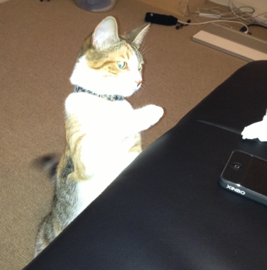 QQ��ͼ20130307132326.png