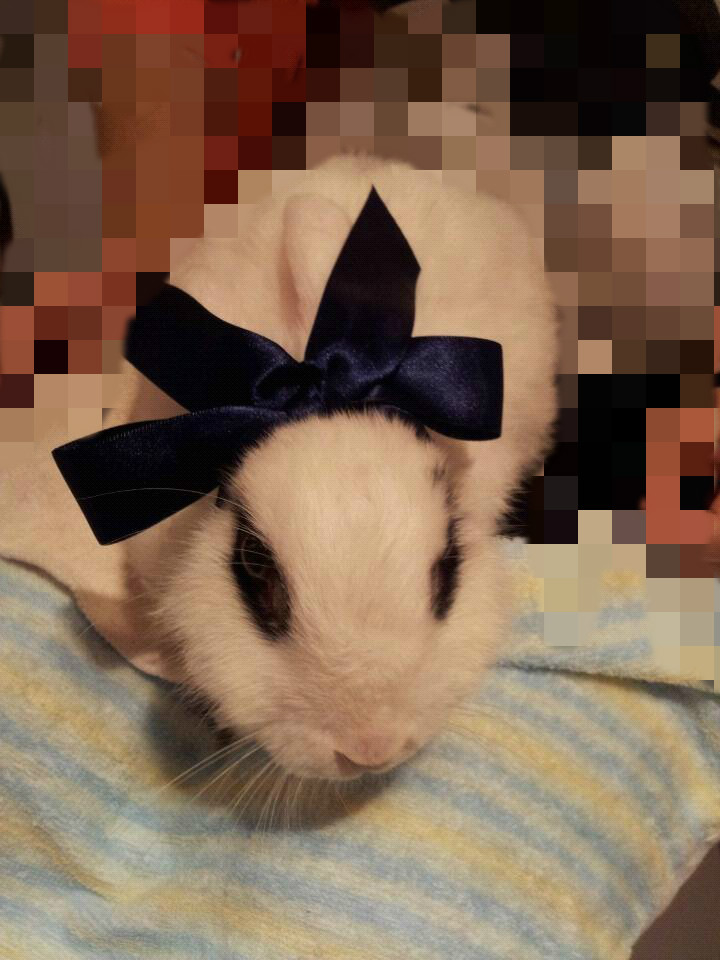 IMG_4381_meitu_1.jpg