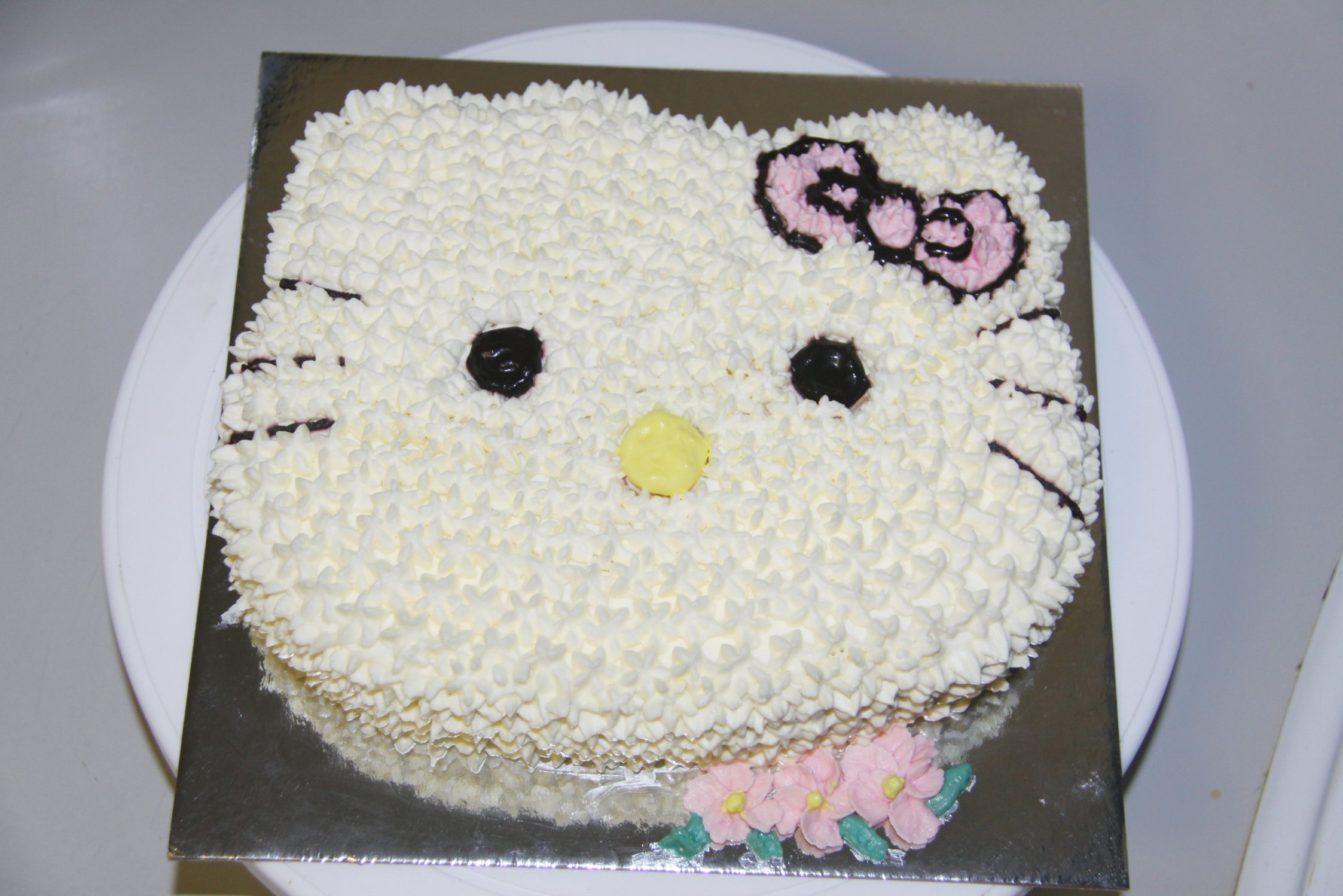 hello kitty2 hello kitty2