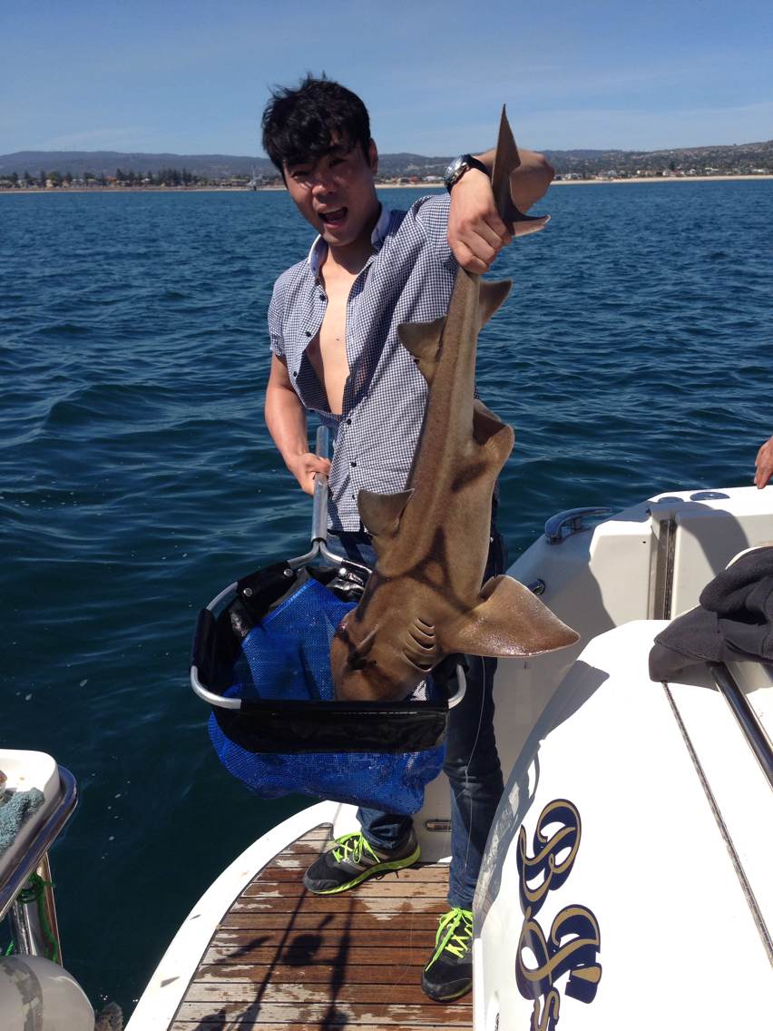 �������д̺�����~