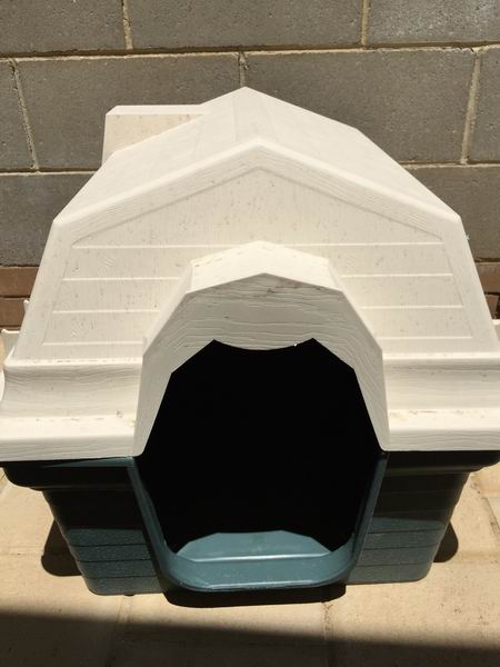 ������С IMG_7765.JPG