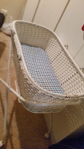 20150627_104447.jpg