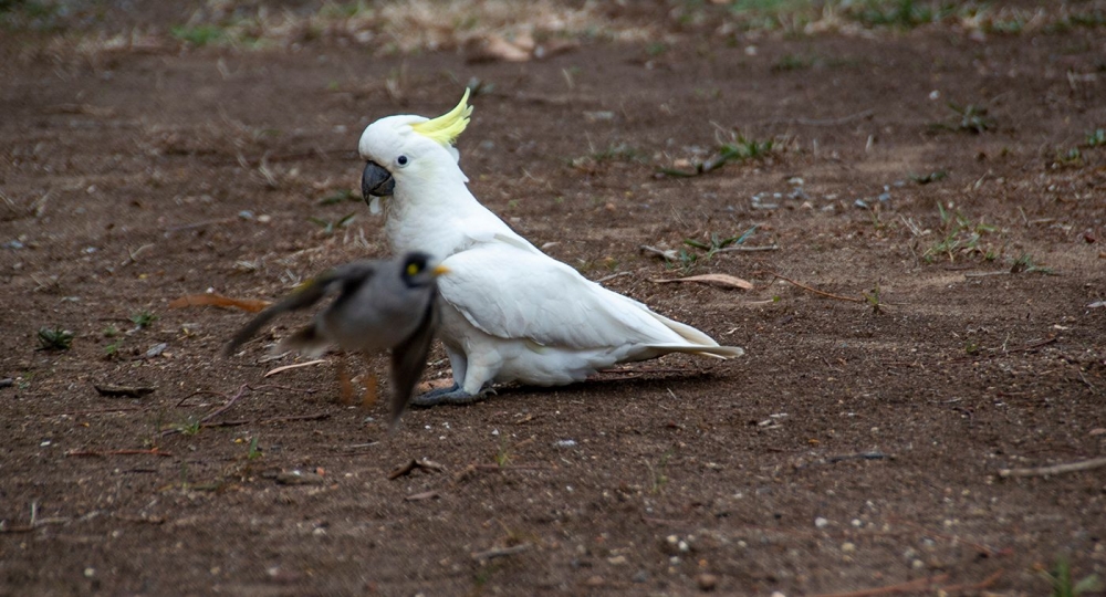 DSC_1578.jpg