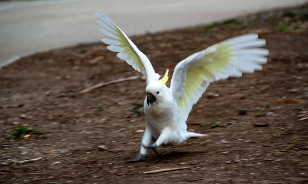 DSC_1580.jpg