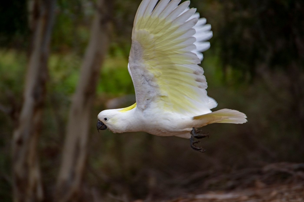 DSC_1588.jpg