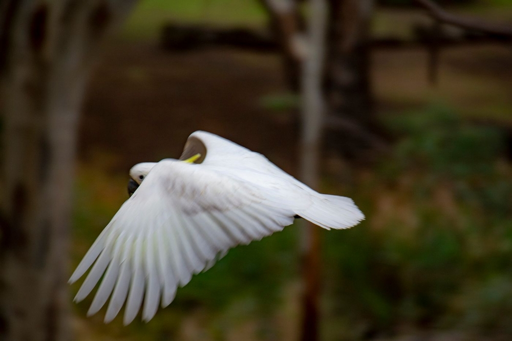 DSC_1589.jpg