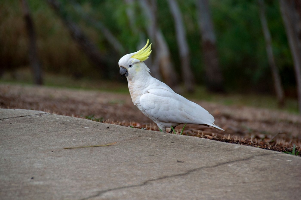 DSC_1599.jpg