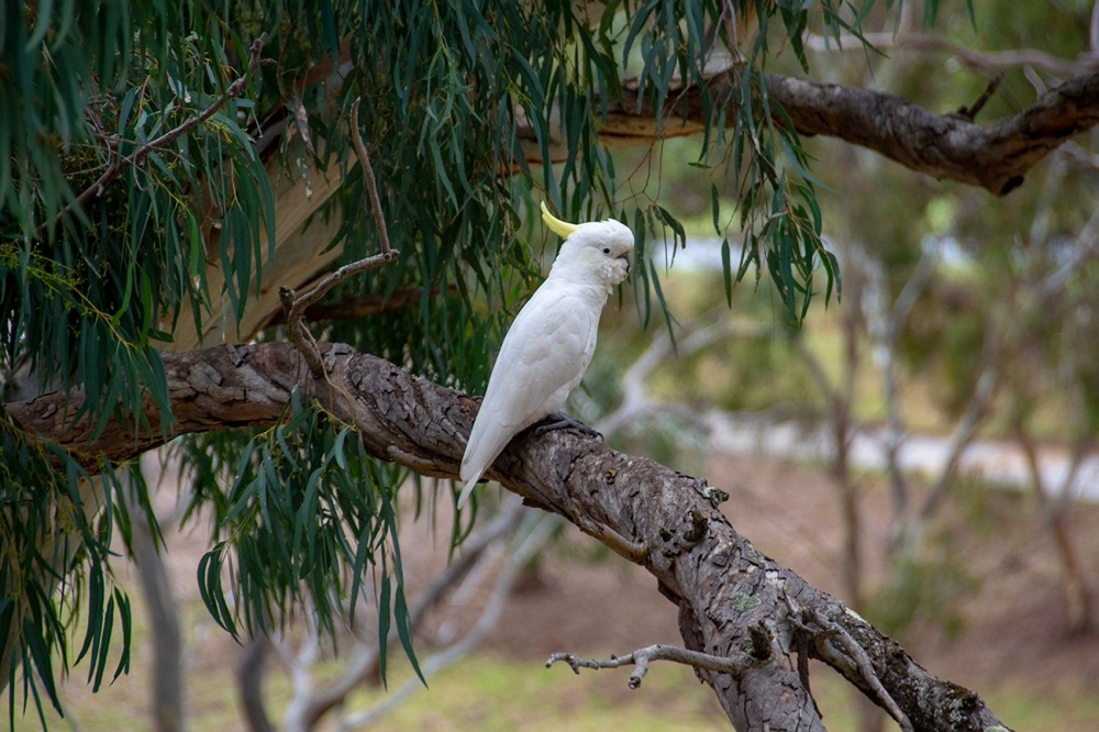 DSC_1264.jpg