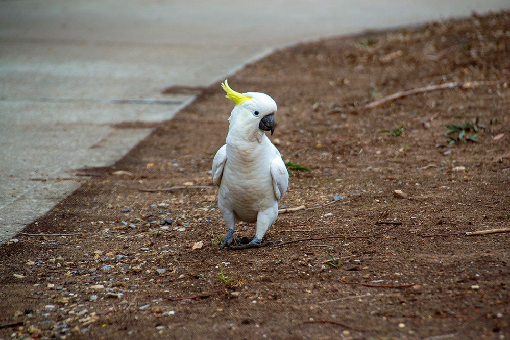 DSC_1584.jpg