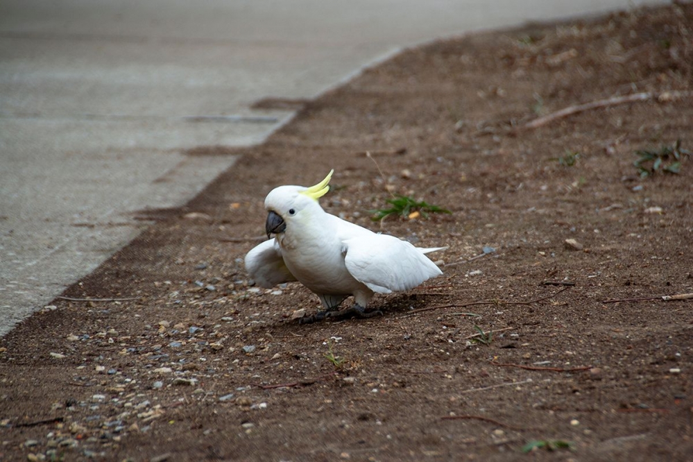 DSC_1586.jpg