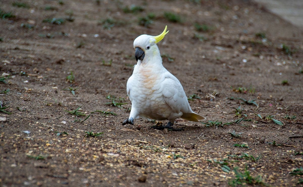 DSC_1612.jpg