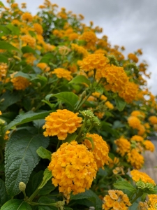 ��City Townhouse ���⡿3-4��2��1.5��λ-23.jpg