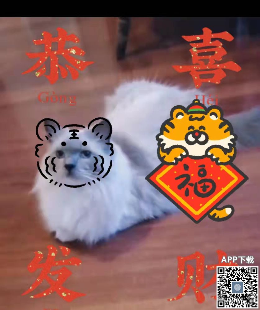 mmexport1643587806522.jpg