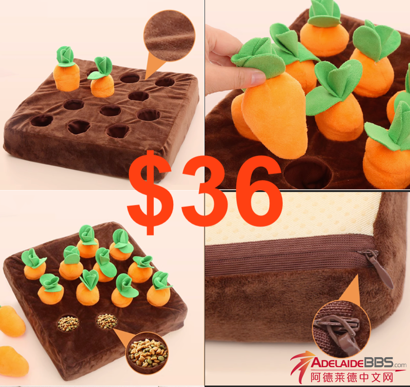 Screenshot 2023-09-17 at 15.24.53.png