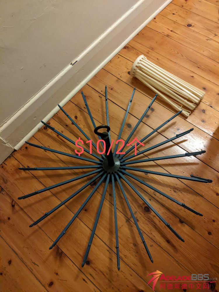 1000000943.jpg