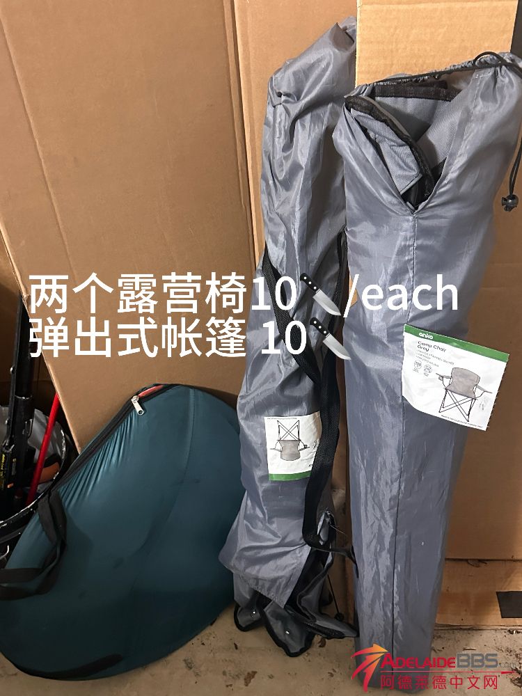 IMG_2491.jpeg