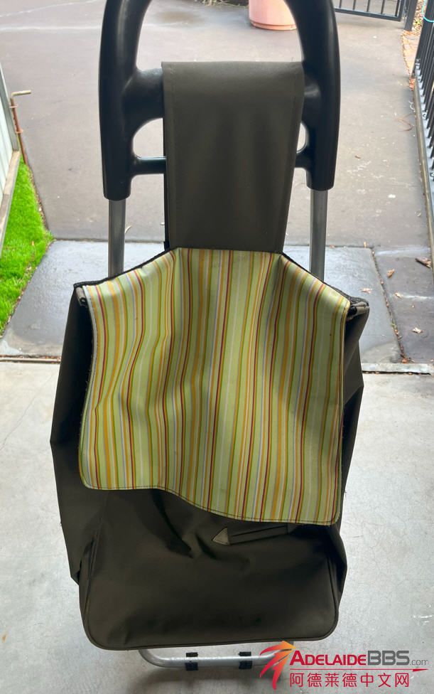 trolley1.jpg