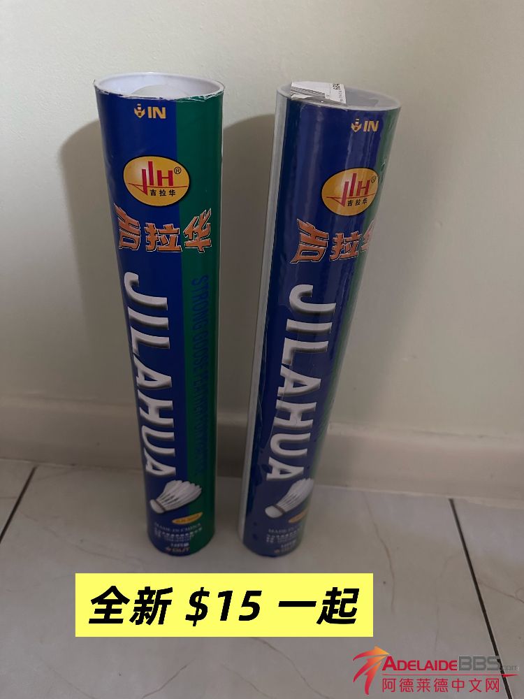 IMG_4369.jpeg