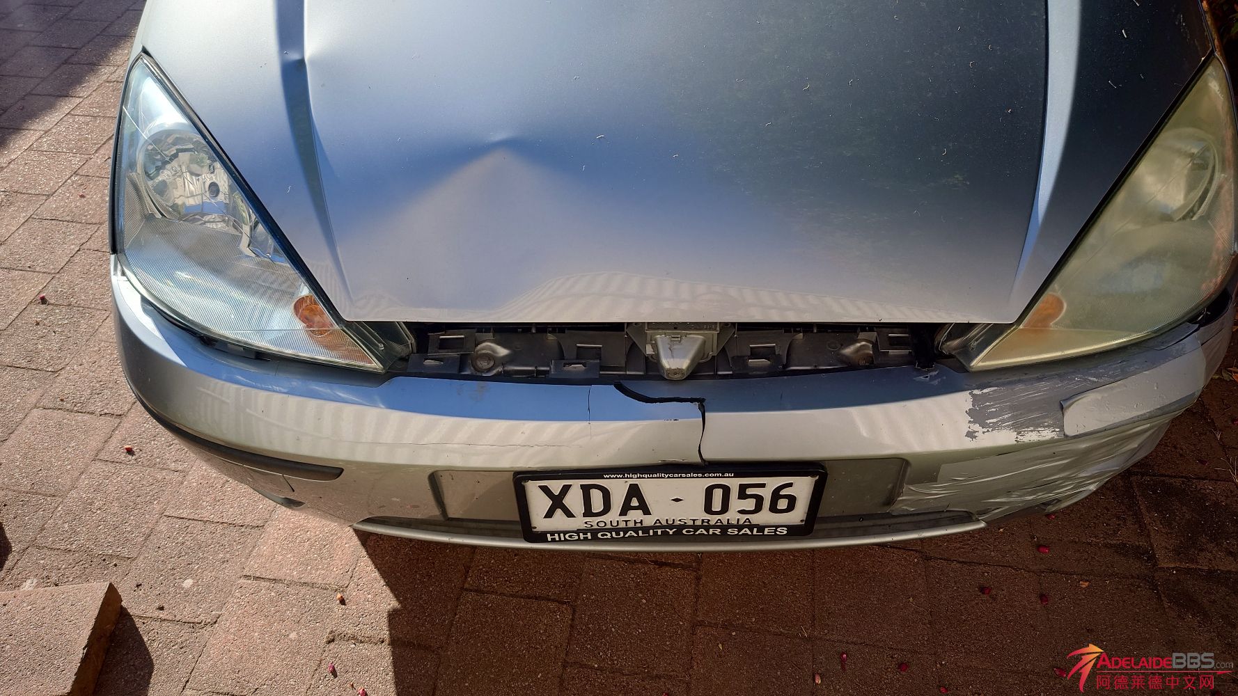 1000055195.jpg