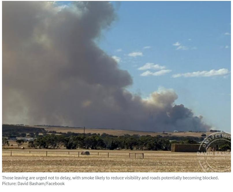 �ϰ�Fleurieu Peninsula���ִ��ʧ�أ����߾���լ���ף���������ҹ��ɢ��-3.jpg