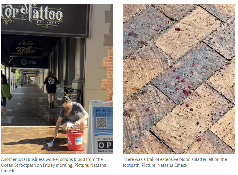 �ϰ�Victor Harbor�ưɱ���Ϯ������һ�������ˣ�29�����ӱ���ıɱδ�죡-3.jpg