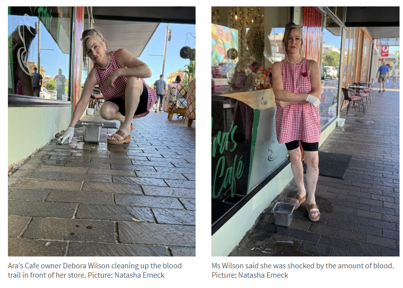 �ϰ�Victor Harbor�ưɱ���Ϯ������һ�������ˣ�29�����ӱ���ıɱδ�죡-4.jpg